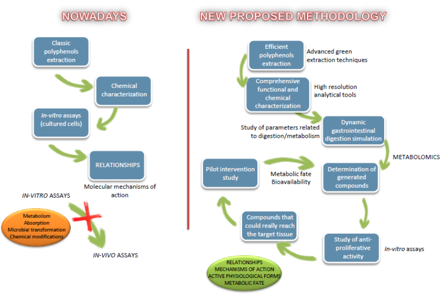 Esquema del proyecto