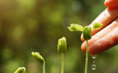 Programa de aceleración para proyectos de Foodtech