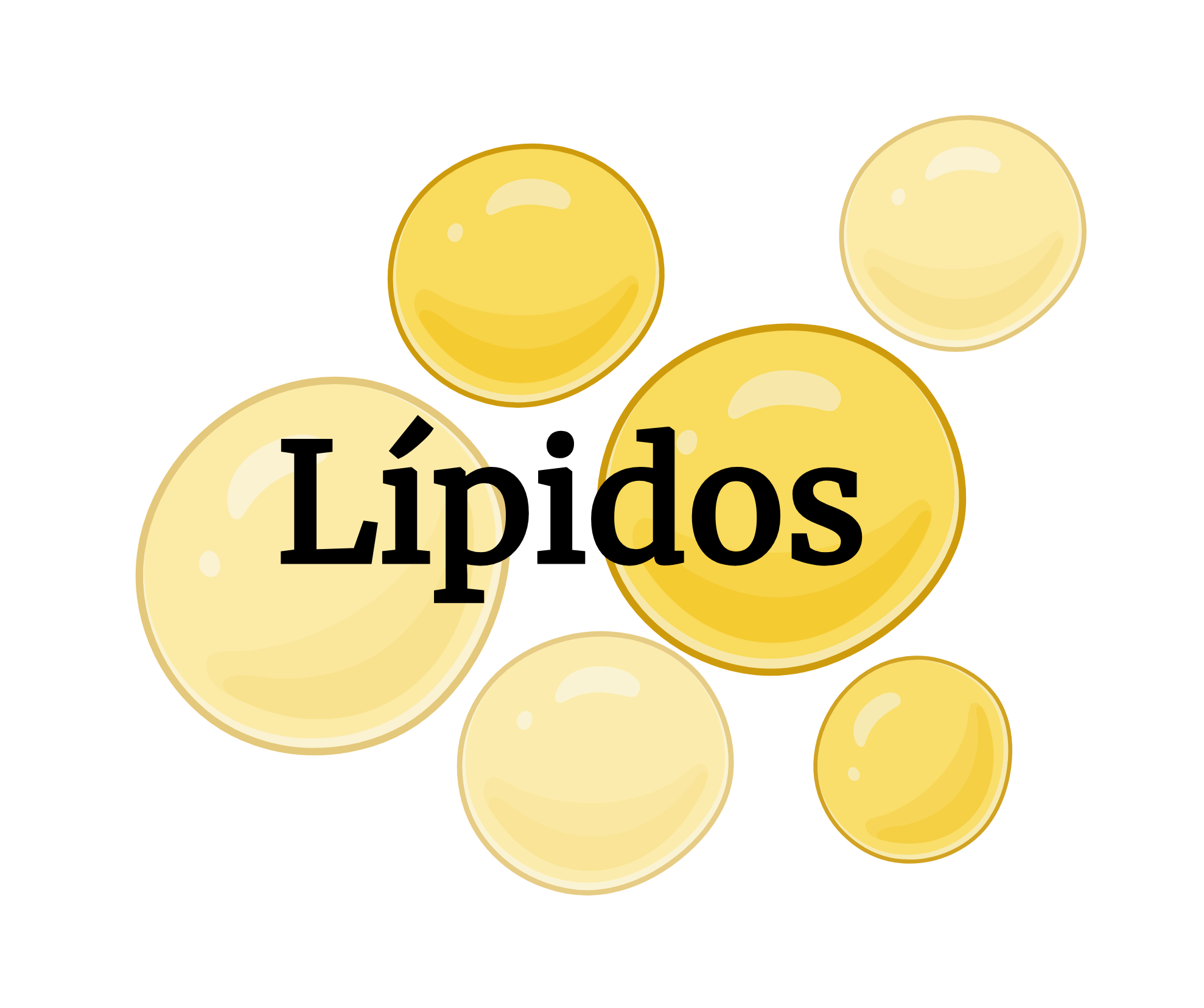 Logo LIPIDOS